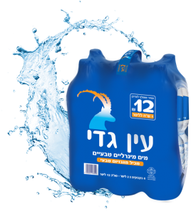 מארז מים עין גדי 2 ליטר